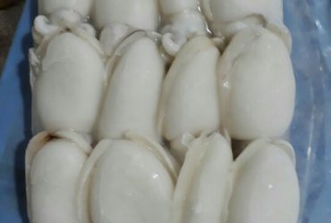 Chúng tôi chuyên cung cấp mực, bạch tuộc khổng lồ đông lạnh giá rẻ – số lượng lớn với chất lượng hàng đầu tại Hà Nội
