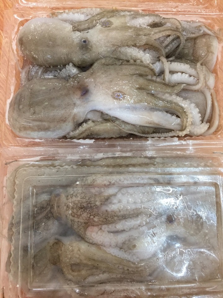 Chúng tôi chuyên cung cấp mực, bạch tuộc khổng lồ đông lạnh giá rẻ – số lượng lớn với chất lượng hàng đầu tại Hà Nội